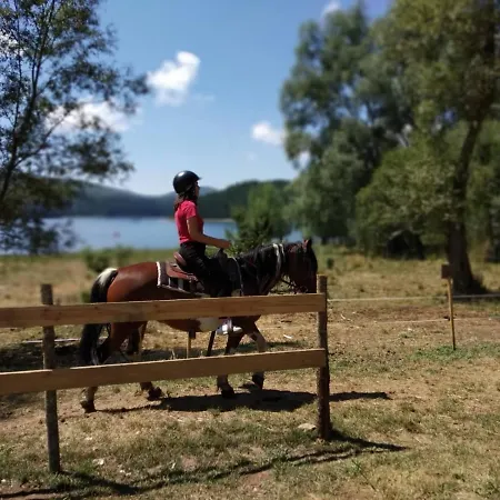 Apartment Lagosila *